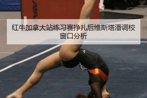 红牛加拿大站练习赛挣扎后维斯塔潘调校窗口分析